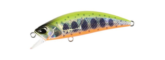 Spearhead Ryuki 50SP