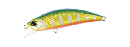 Spearhead Ryuki 50SP