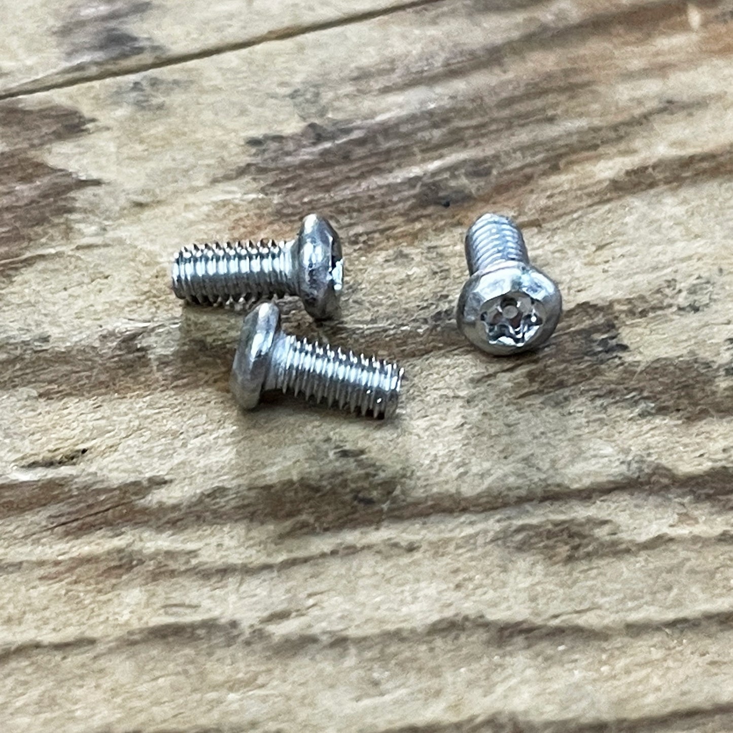 Stainless Steel Torx Screws (304)
