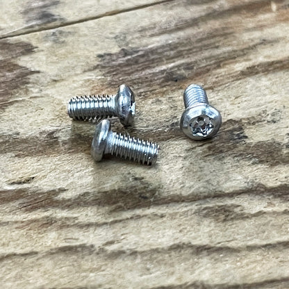 Stainless Steel Torx Screws (304)