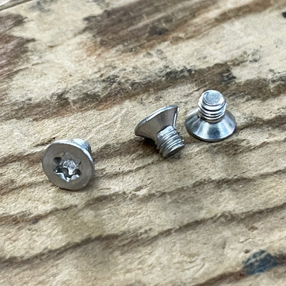 Stainless Steel Torx Screws (304)