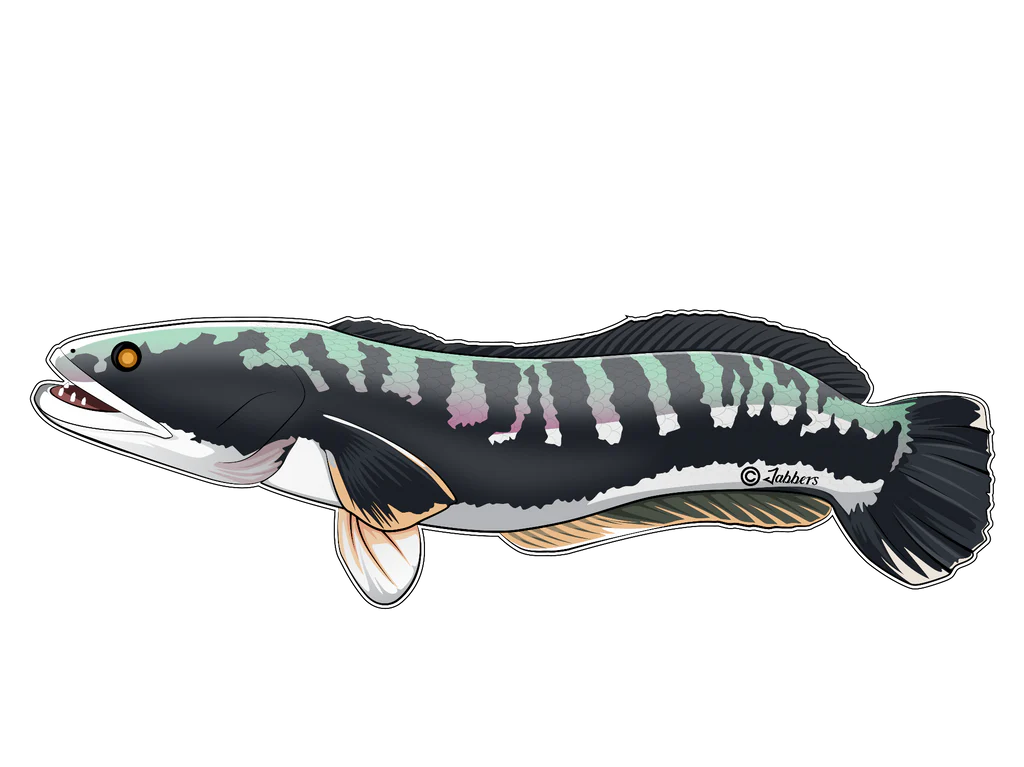 Monsterfish Stickers