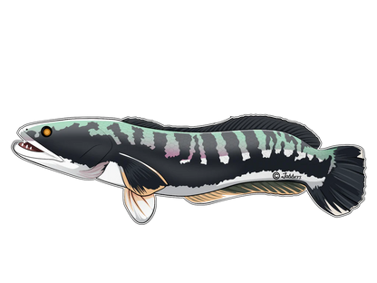 Monsterfish Stickers