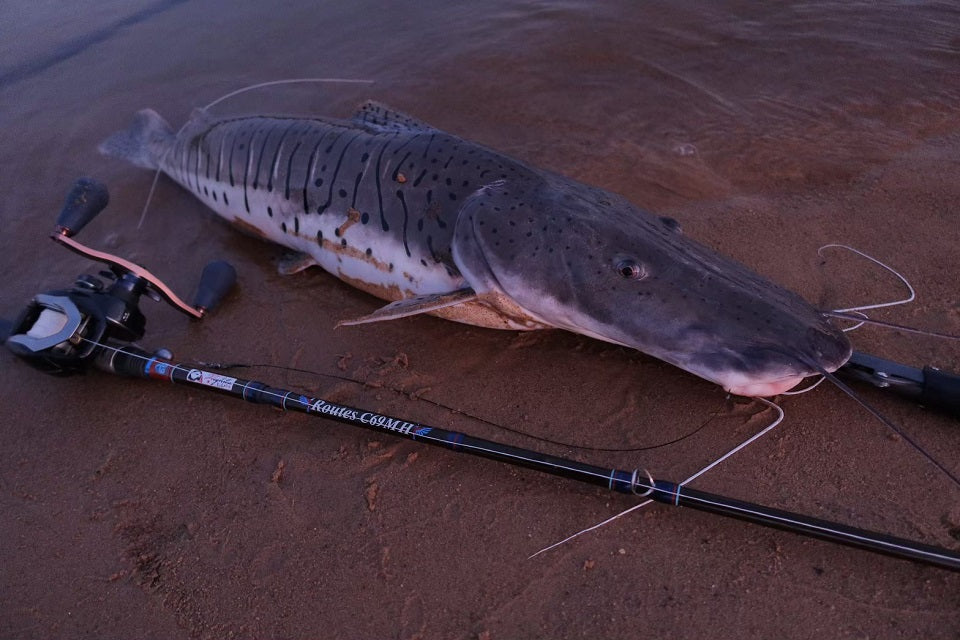 Routes C69MH (Flightex)