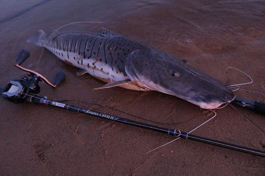 Routes C69MH (Flightex)