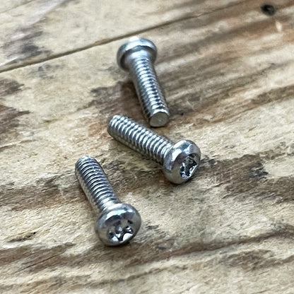 Stainless Steel Torx Screws (304)