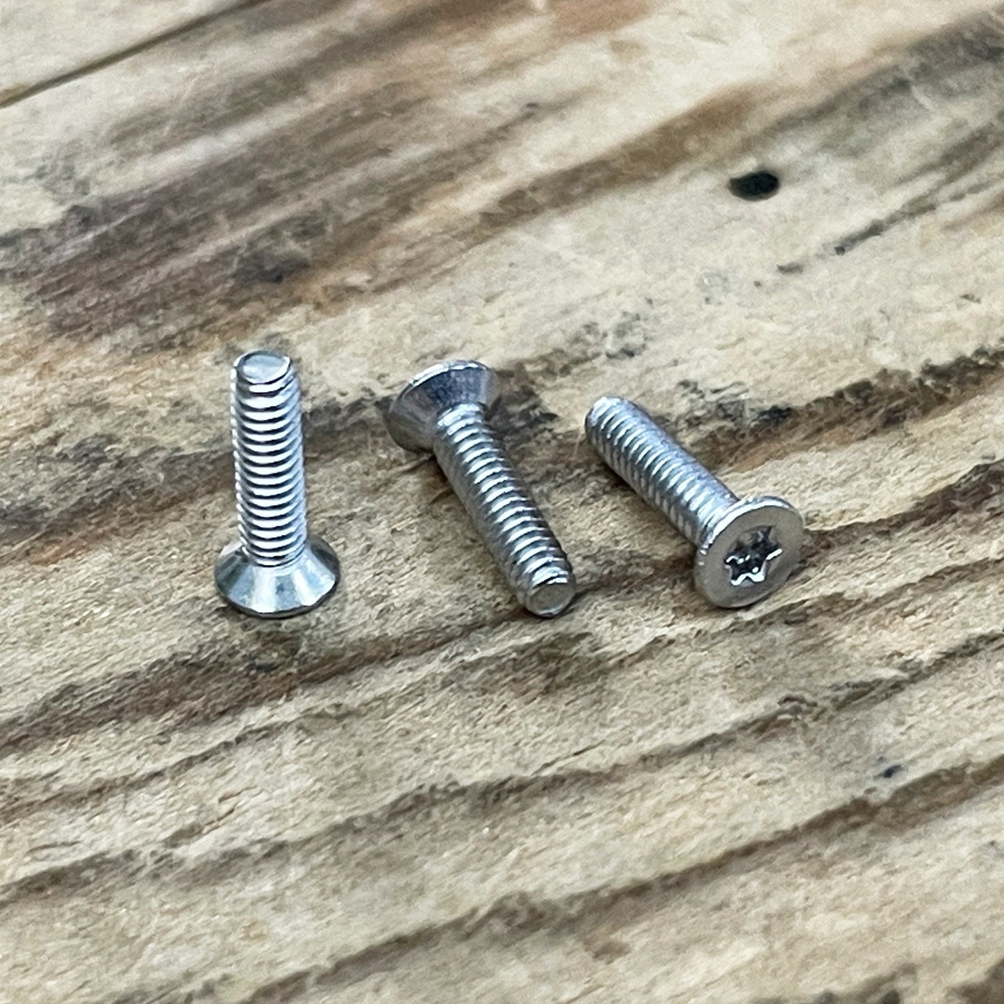 Stainless Steel Torx Screws (304)