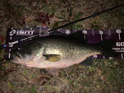 Routes S68ML(Flightex)