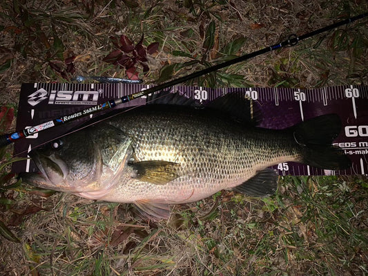 Routes S68ML(Flightex)