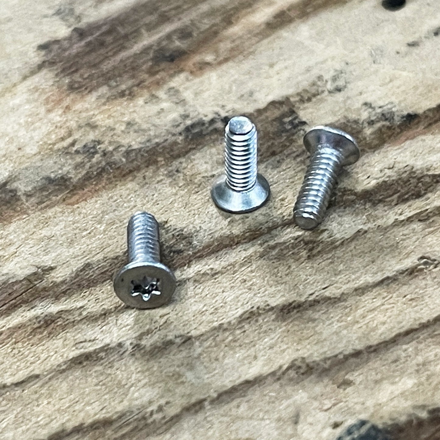 Stainless Steel Torx Screws (304)