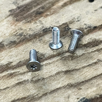 Stainless Steel Torx Screws (304)