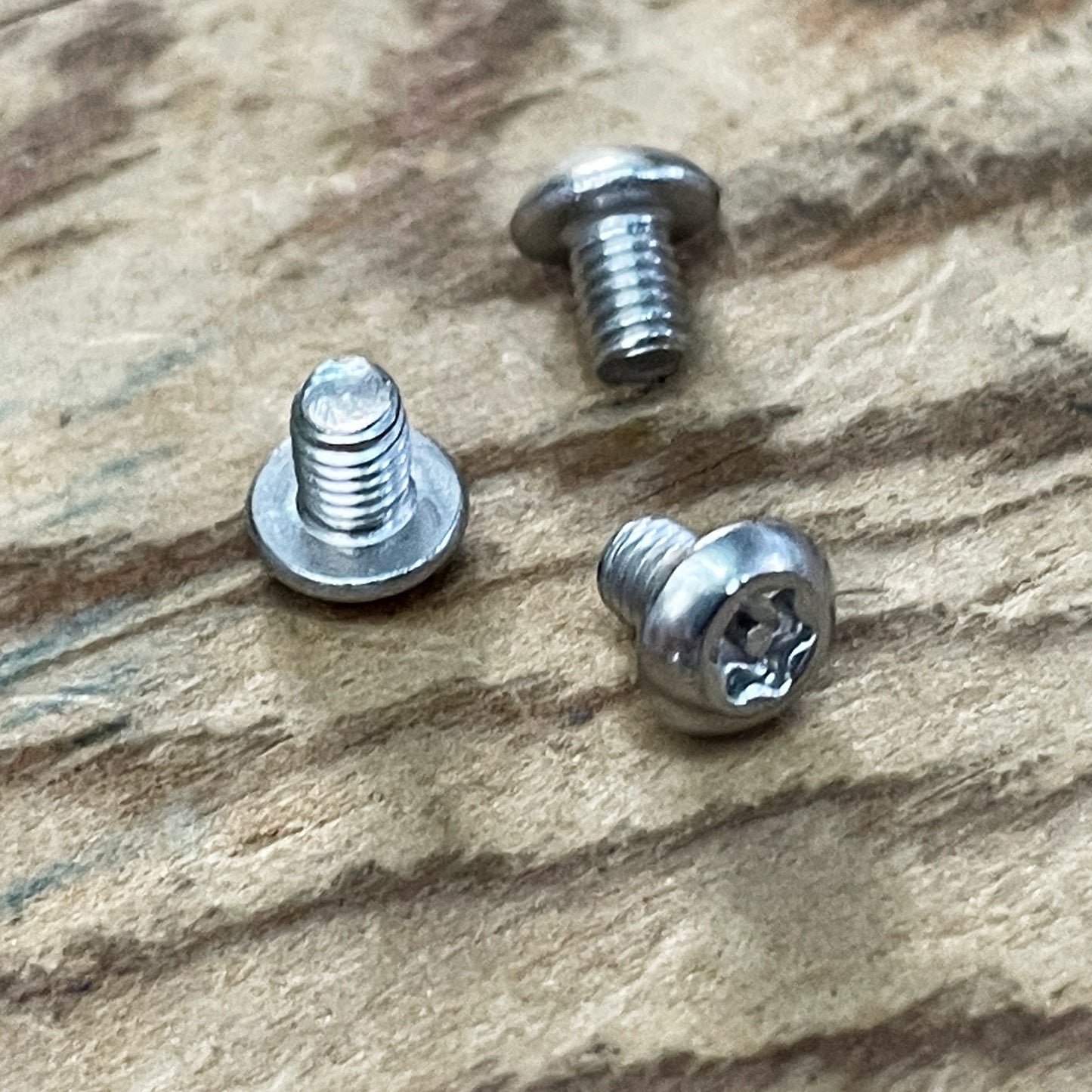 Stainless Steel Torx Screws (304)