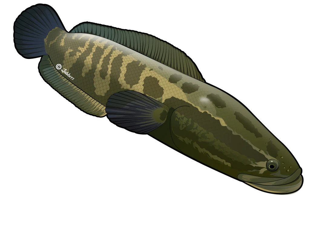 Monsterfish Stickers