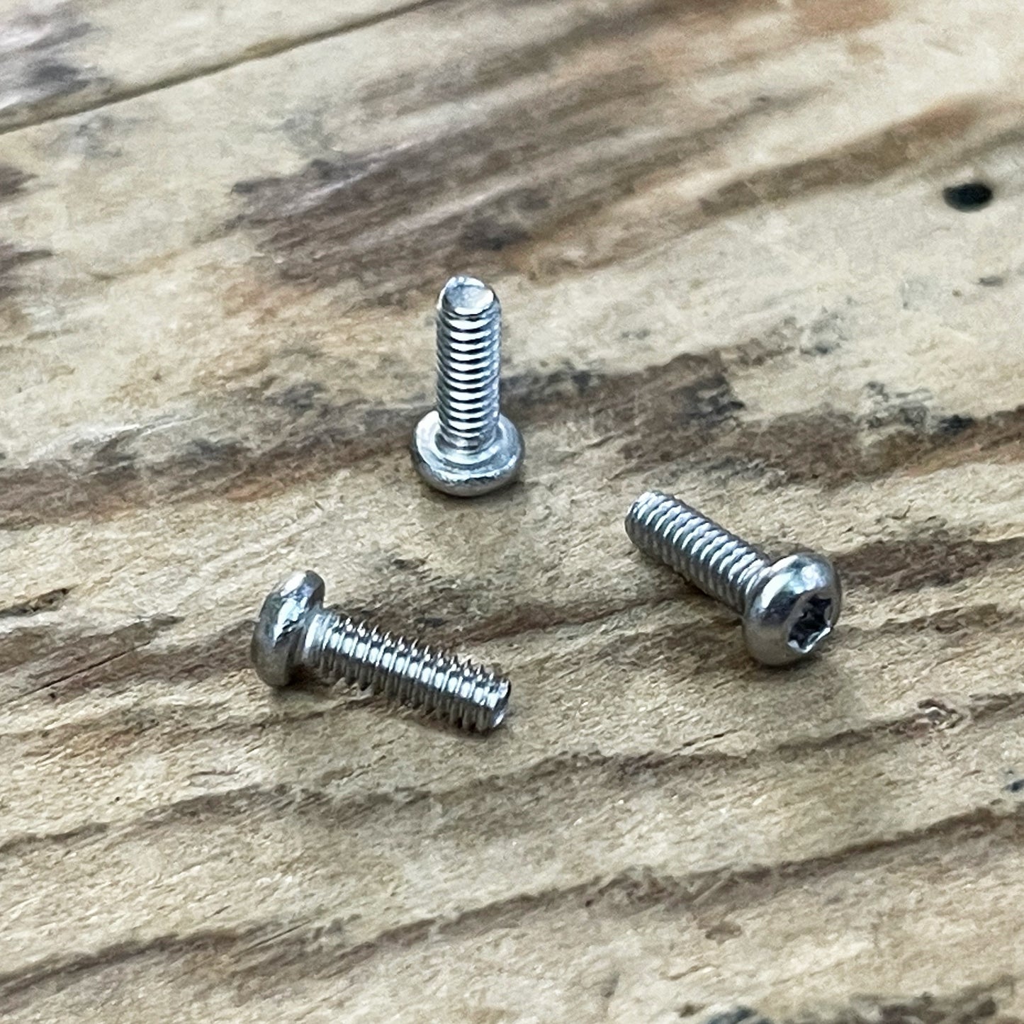 Stainless Steel Torx Screws (304)