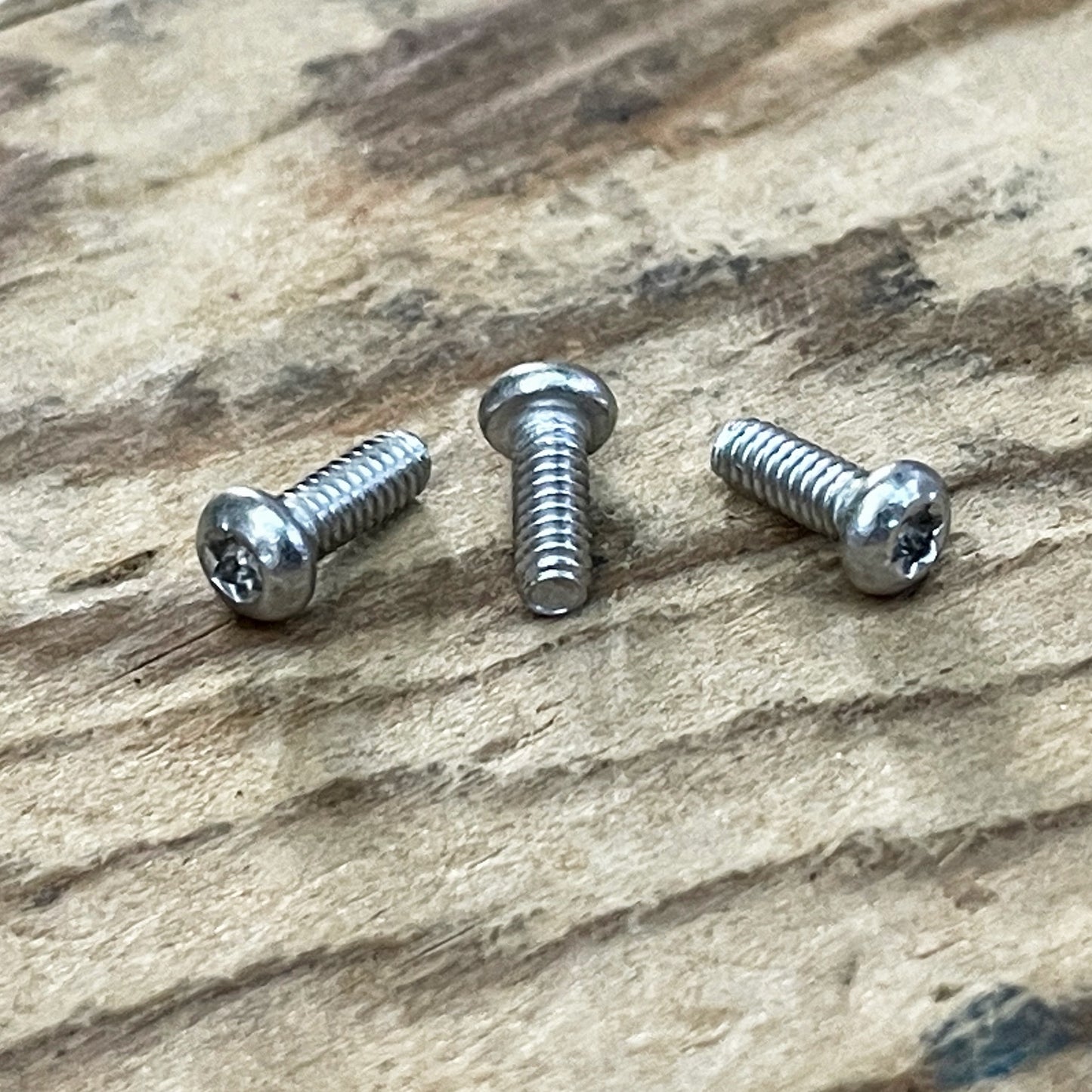 Stainless Steel Torx Screws (304)