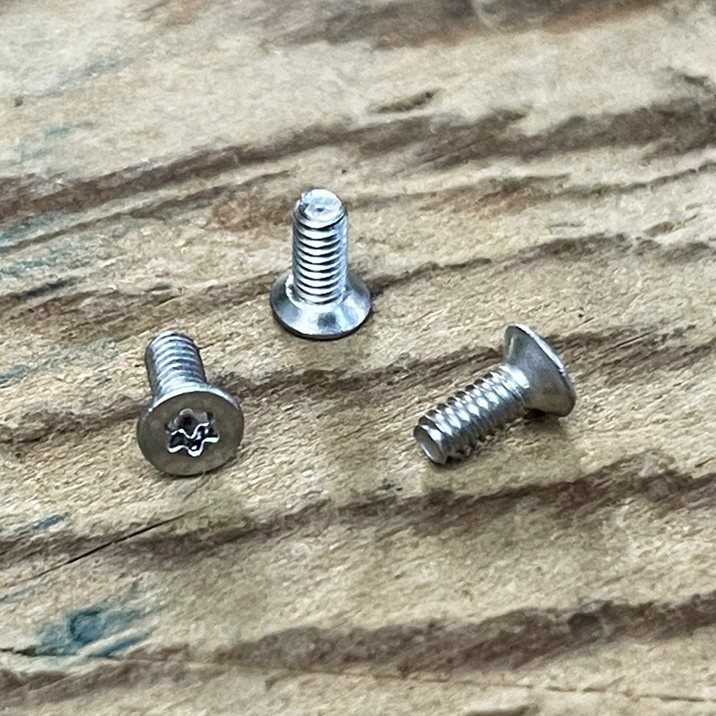 Stainless Steel Torx Screws (304)