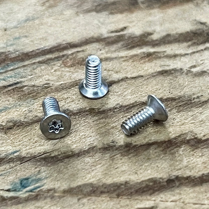 Stainless Steel Torx Screws (304)
