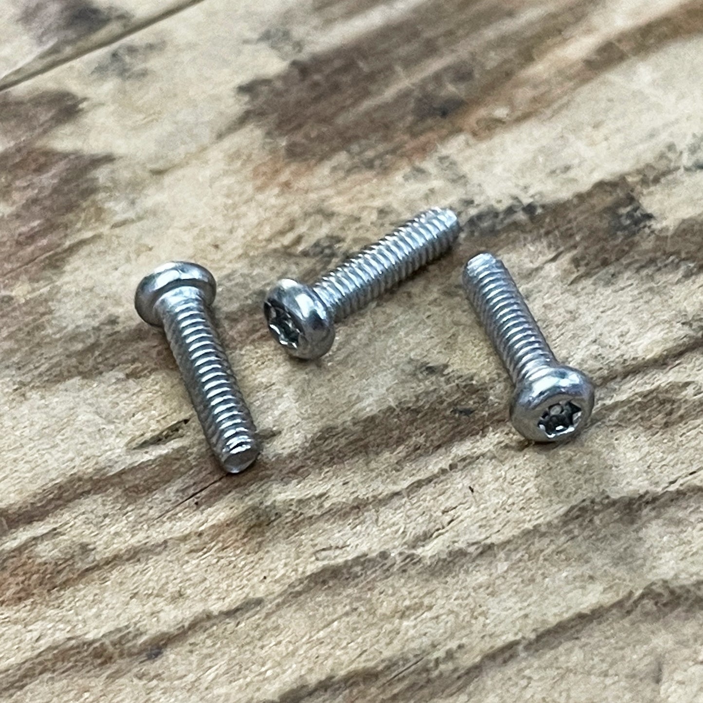 Stainless Steel Torx Screws (304)