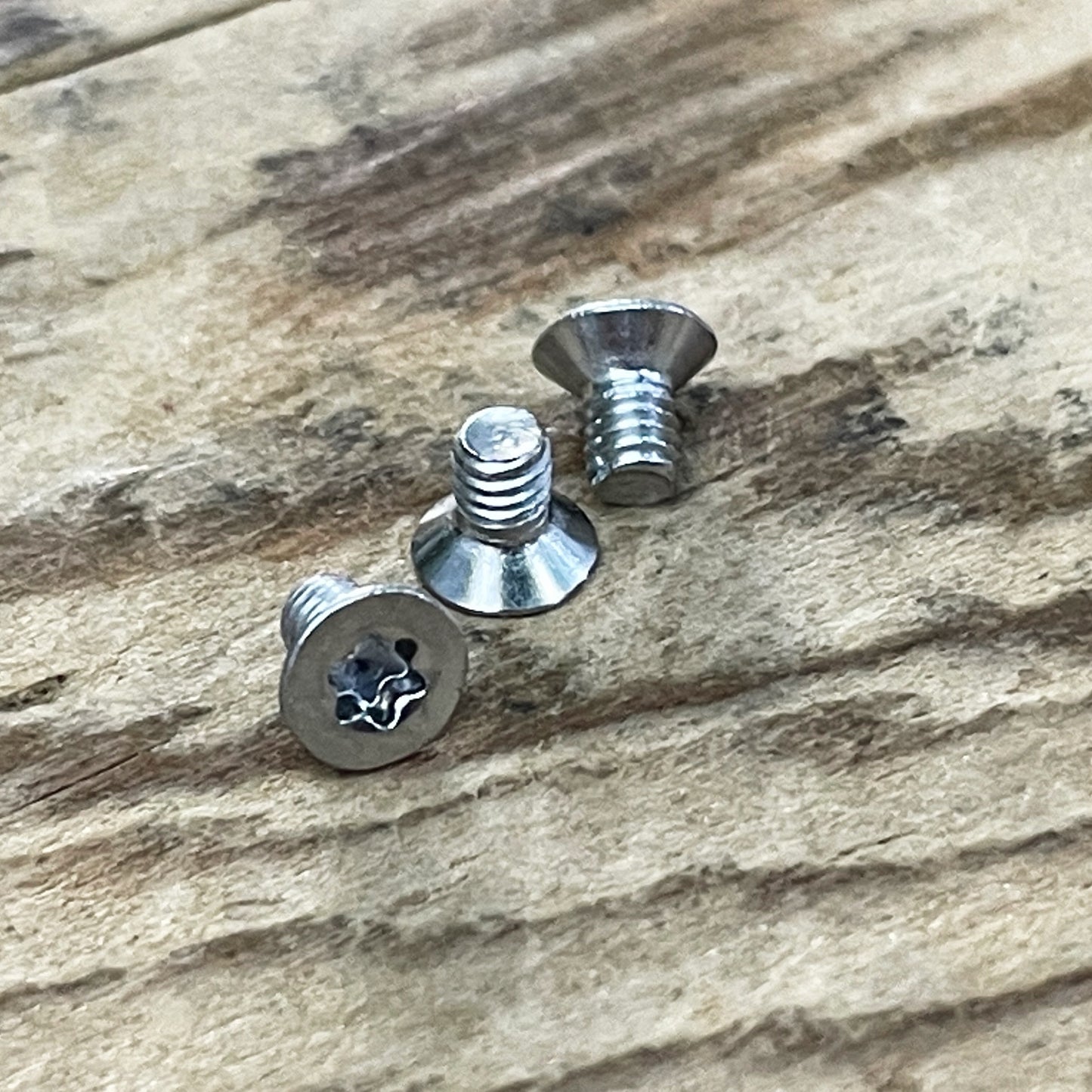 Stainless Steel Torx Screws (304)