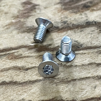 Stainless Steel Torx Screws (304)