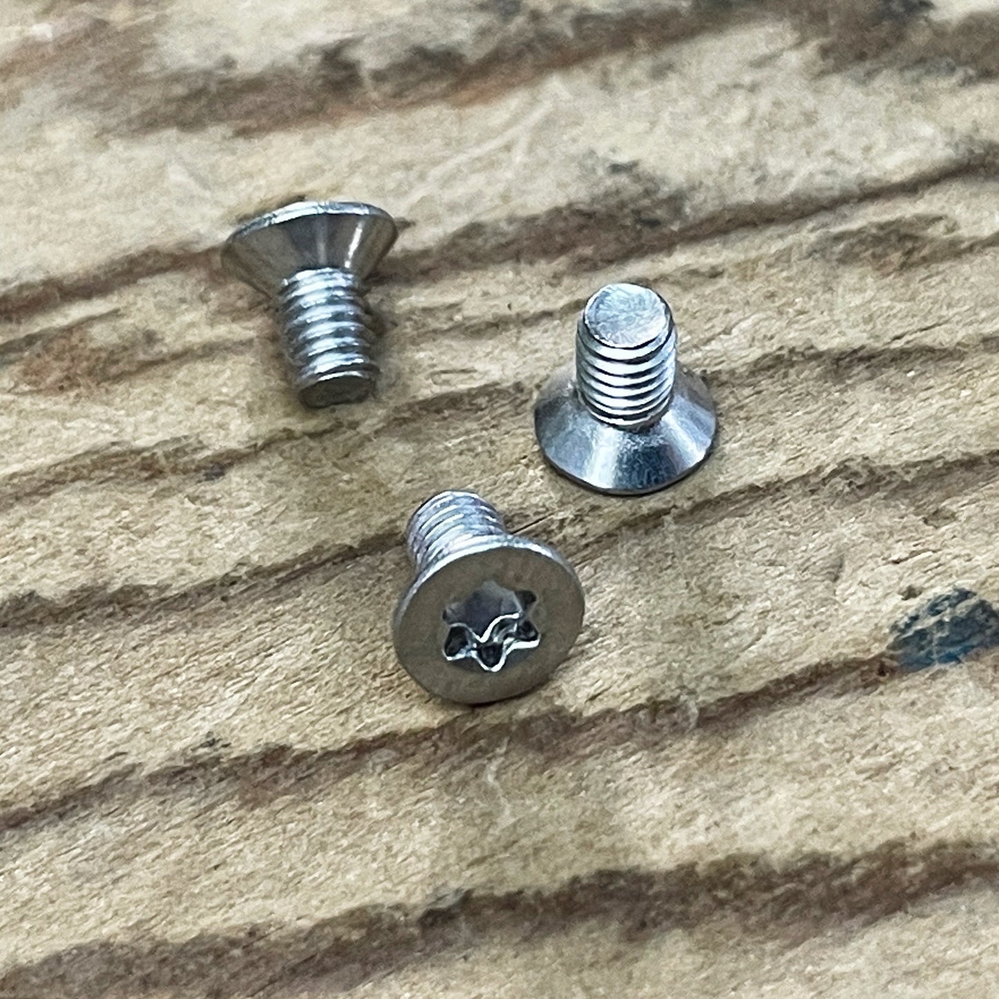 Stainless Steel Torx Screws (304)