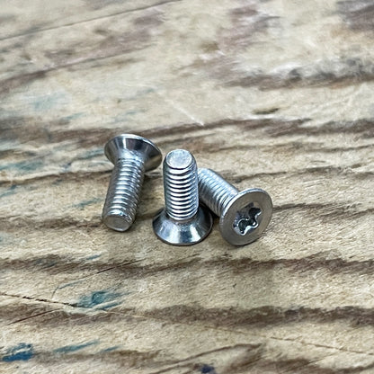 Stainless Steel Torx Screws (304)
