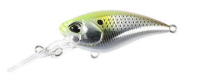 Realis Cranking Shad 40MR