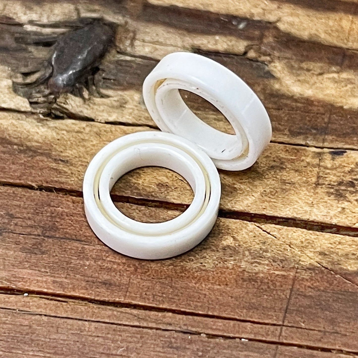 Ceramic Bearings (unshielded)
