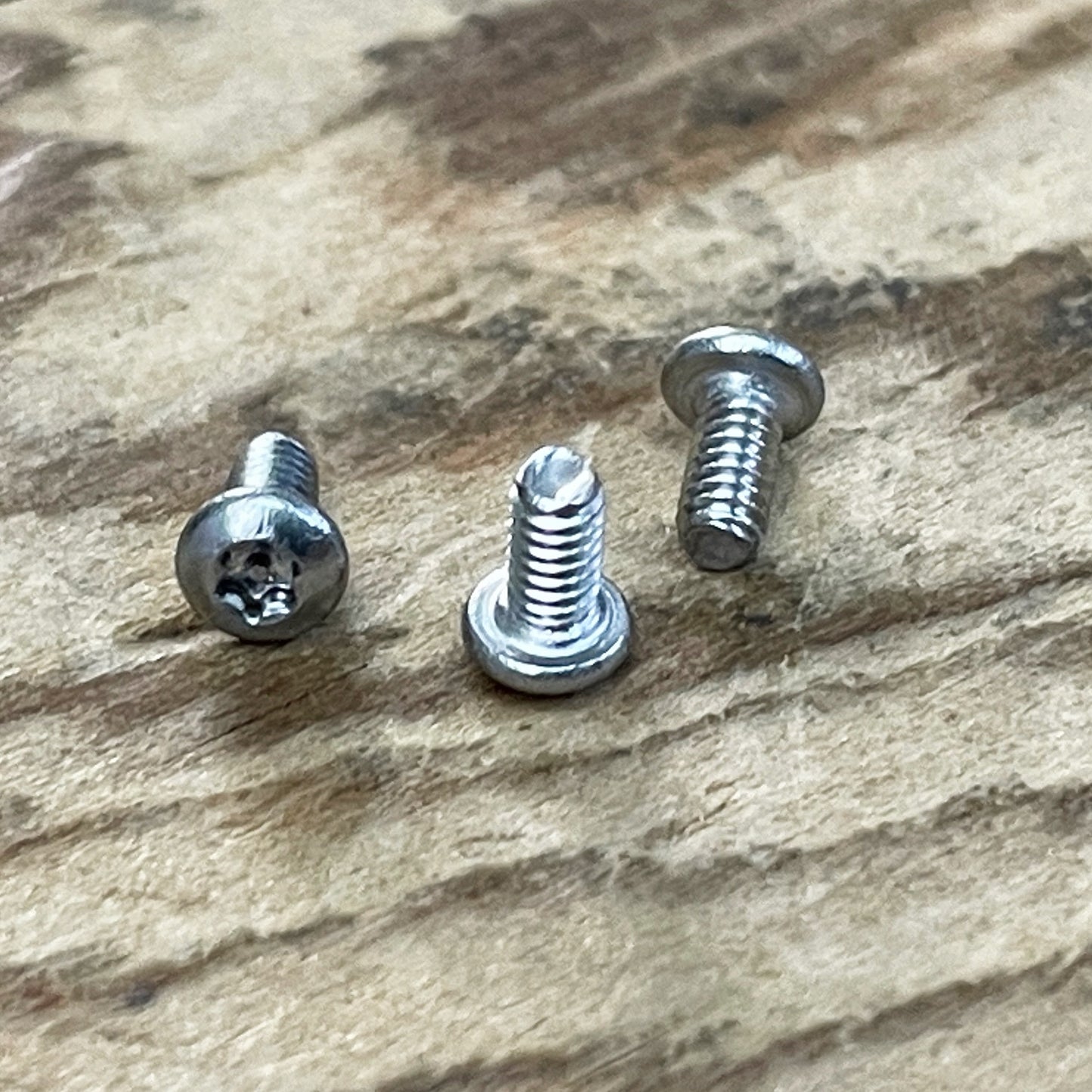 Stainless Steel Torx Screws (304)