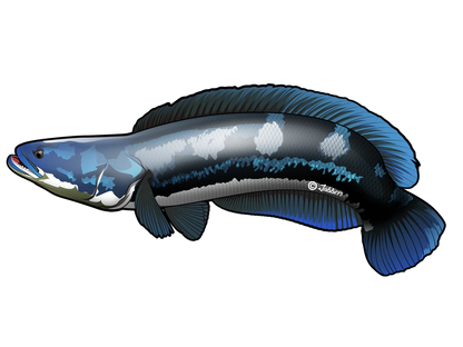 Pelekat Monsterfish