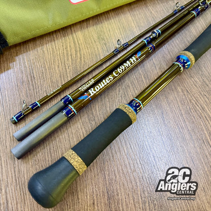 Routes C69MH (Flightex)