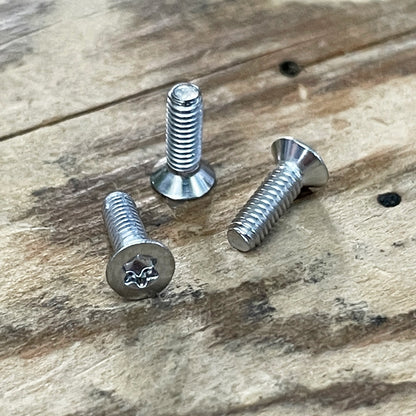 Stainless Steel Torx Screws (304)