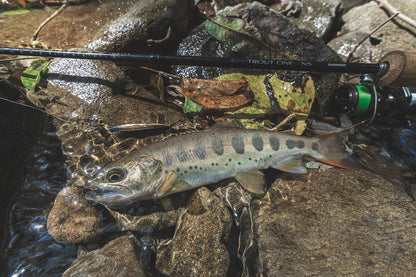 24 Trout One NS B47UL-4