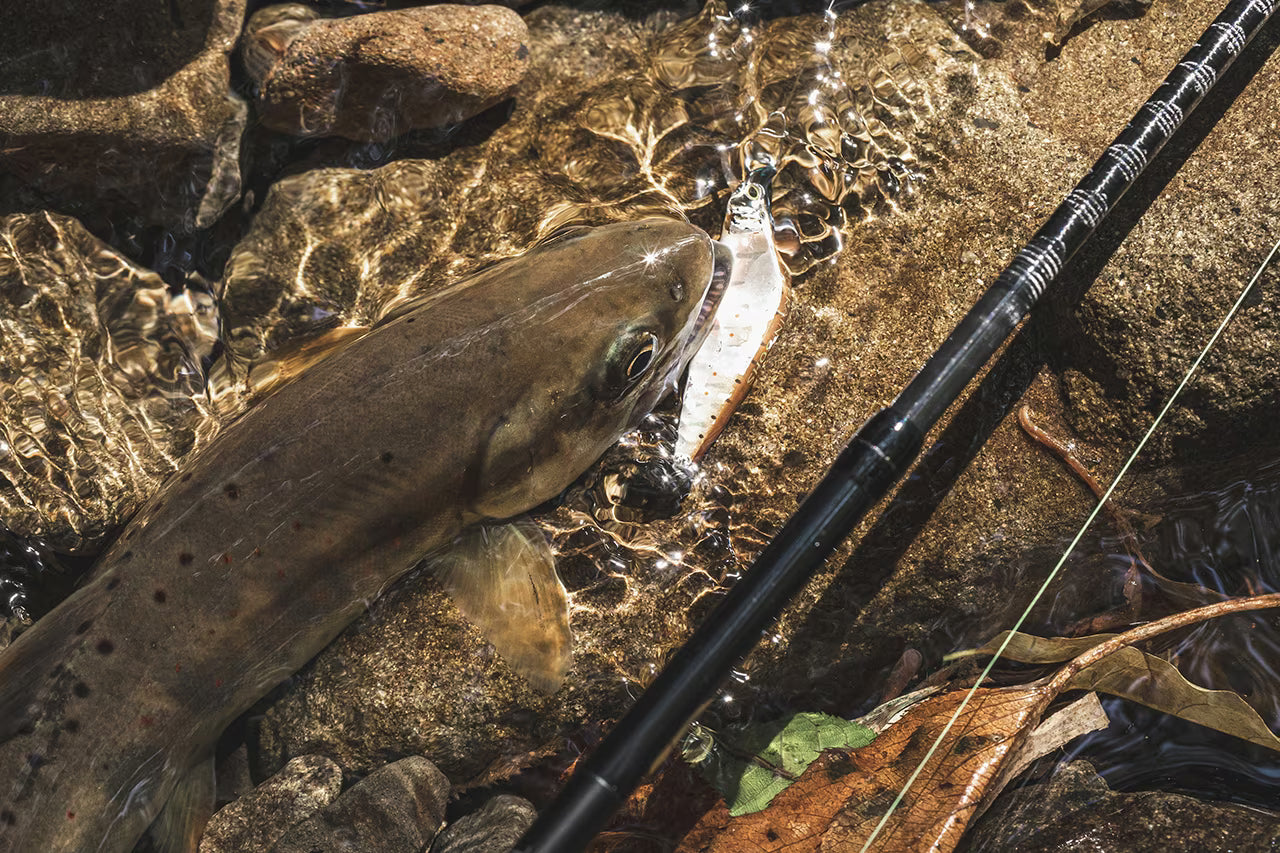 24 Trout One NS B47UL-4