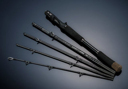 25 Capture 169XXXH-SB/5