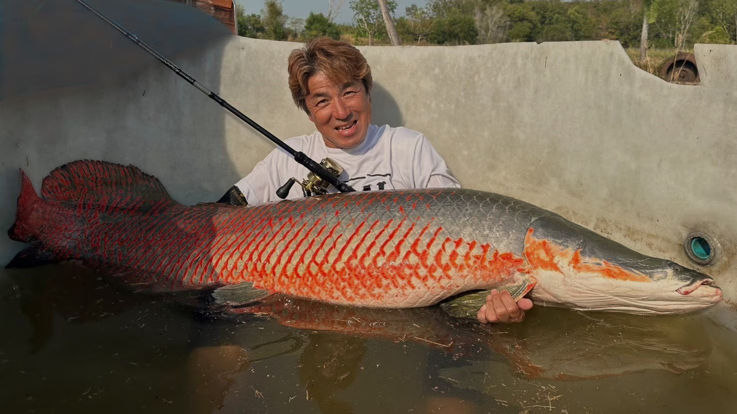 25 Capture 169XXXH-SB/5