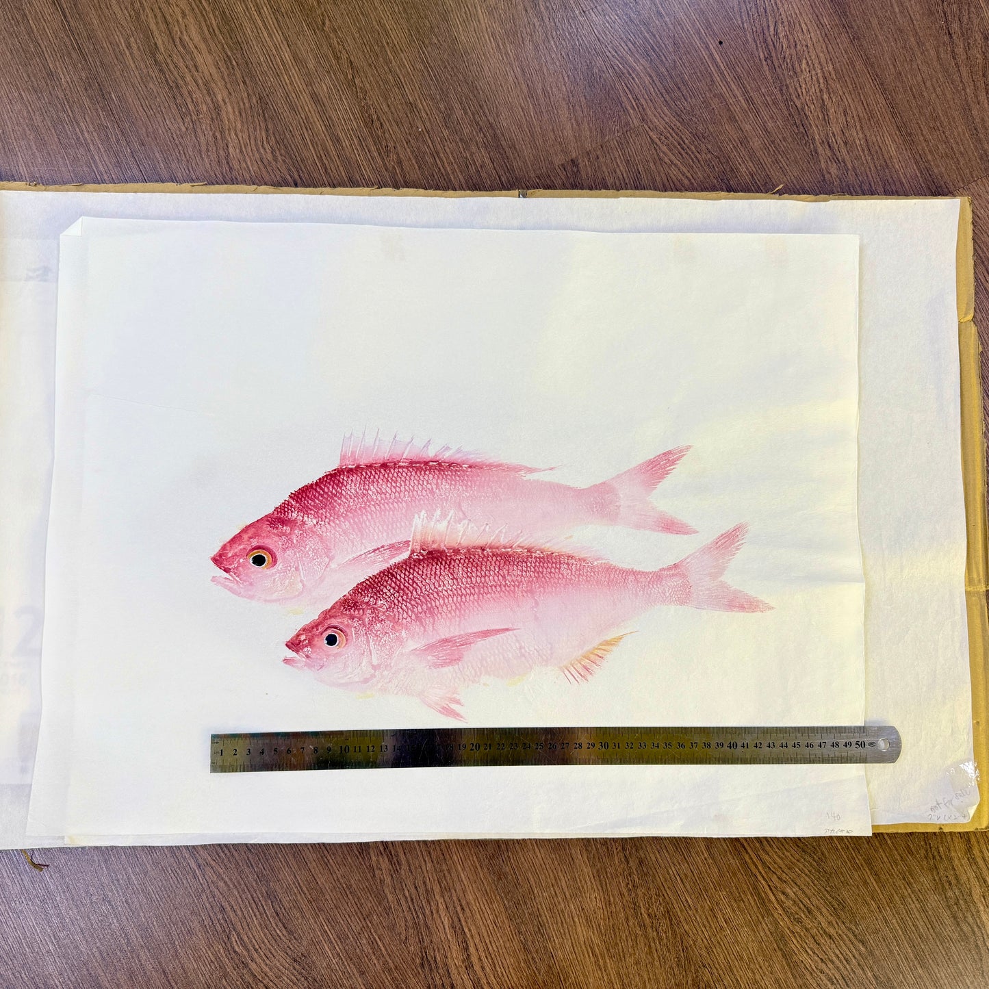 Gyotaku (Fish Print, direct method)