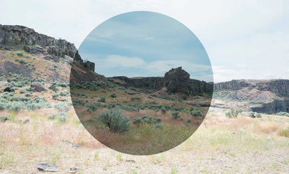 Smith Optics Lowdown XL 2 replacement lenses (Polarized)