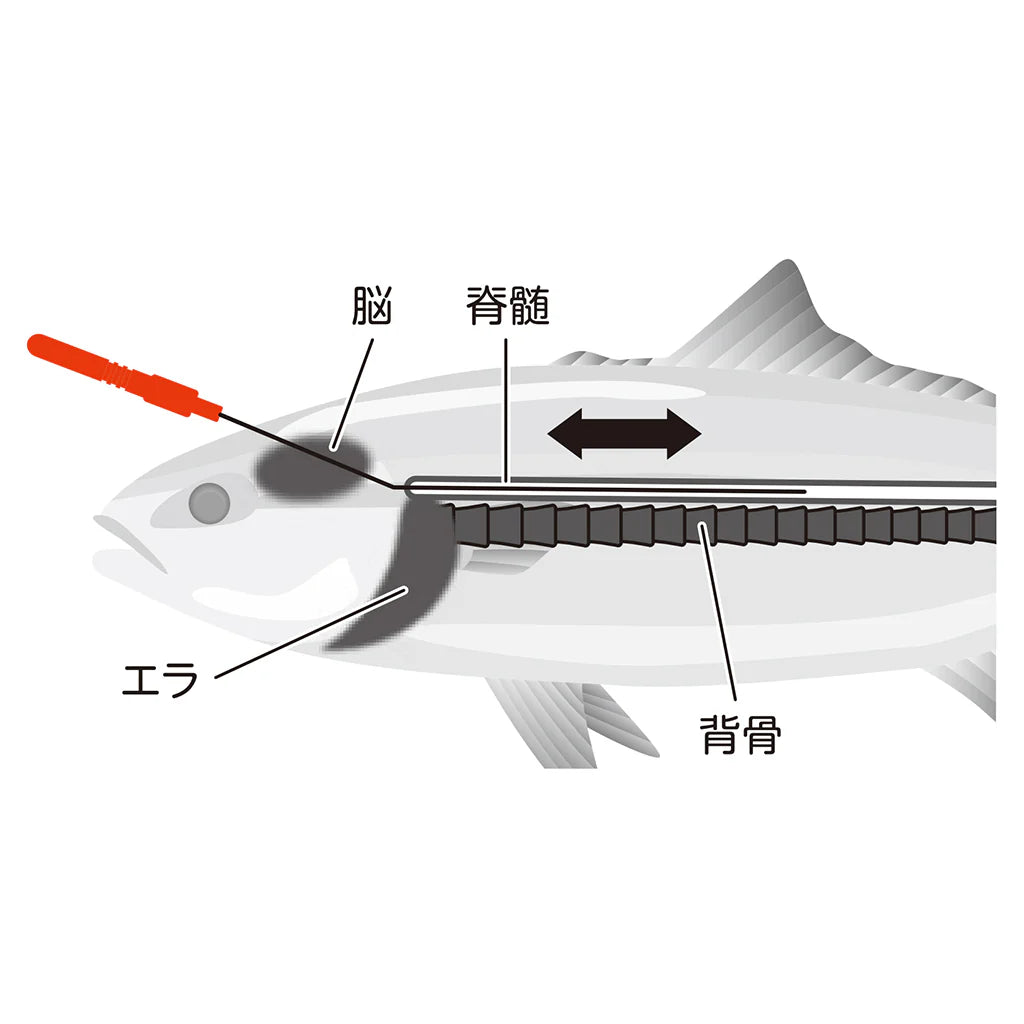 Shape Memory Alloy Shinkeshime 50cm (Ikejime wire)