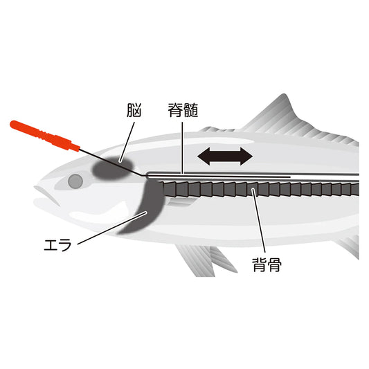 Shape Memory Alloy Shinkeshime 50cm (Ikejime wire)
