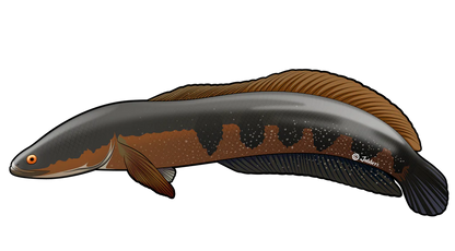 Monsterfish Stickers