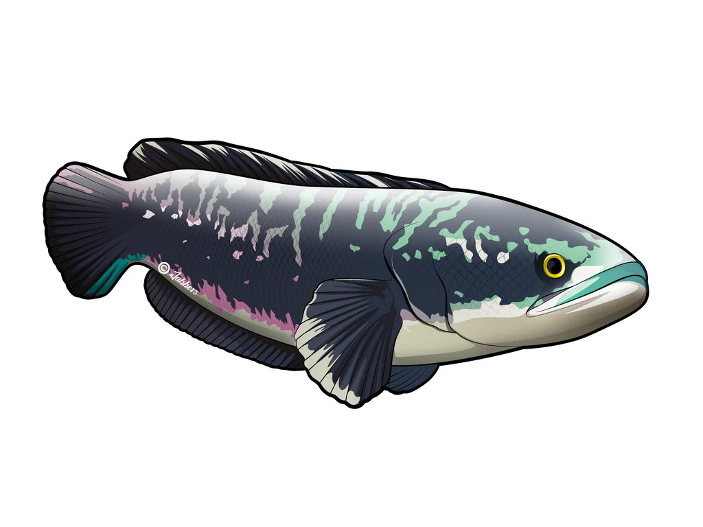 Pelekat Monsterfish