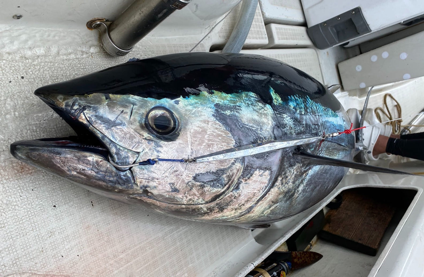 Octagon Jig 300g 235mm