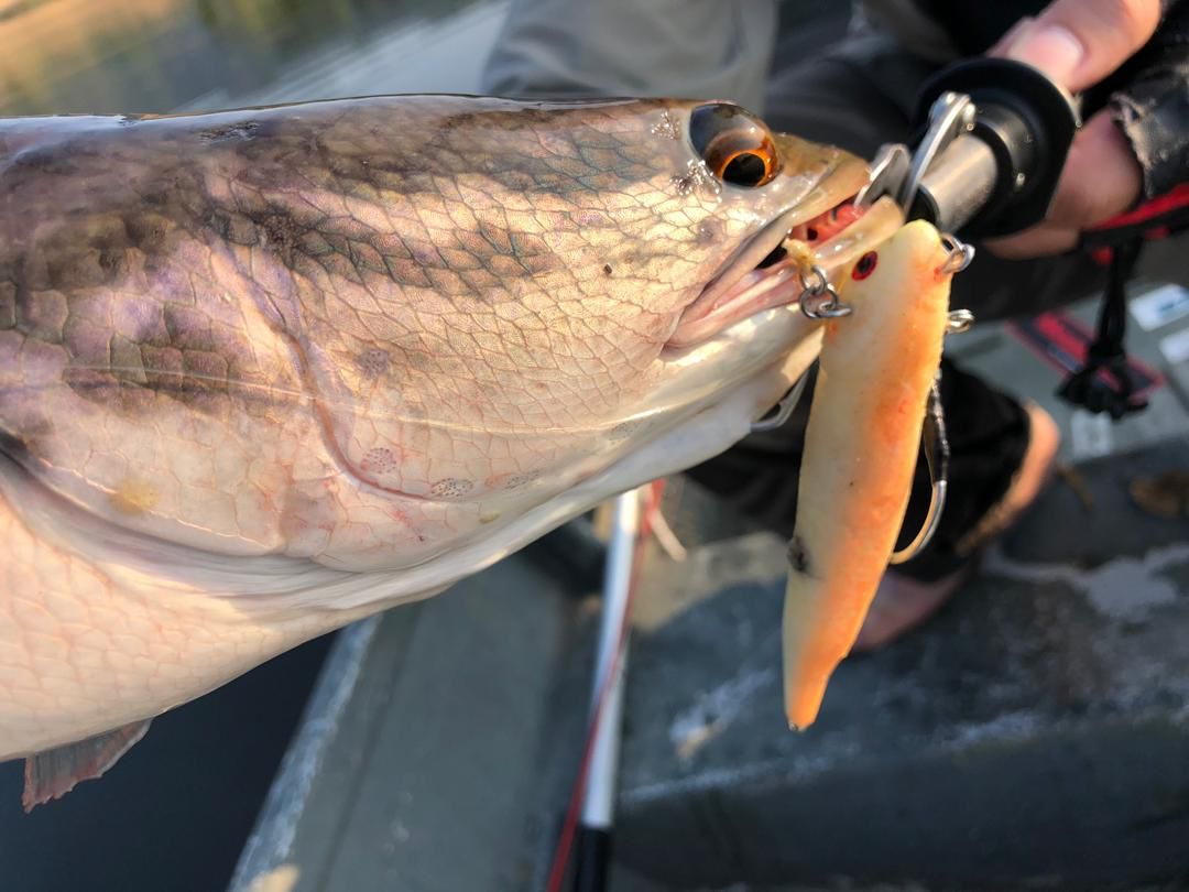 Sky Walker 10cm 18.17g