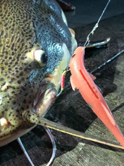 Scout T-tail 16cm (48.5g)