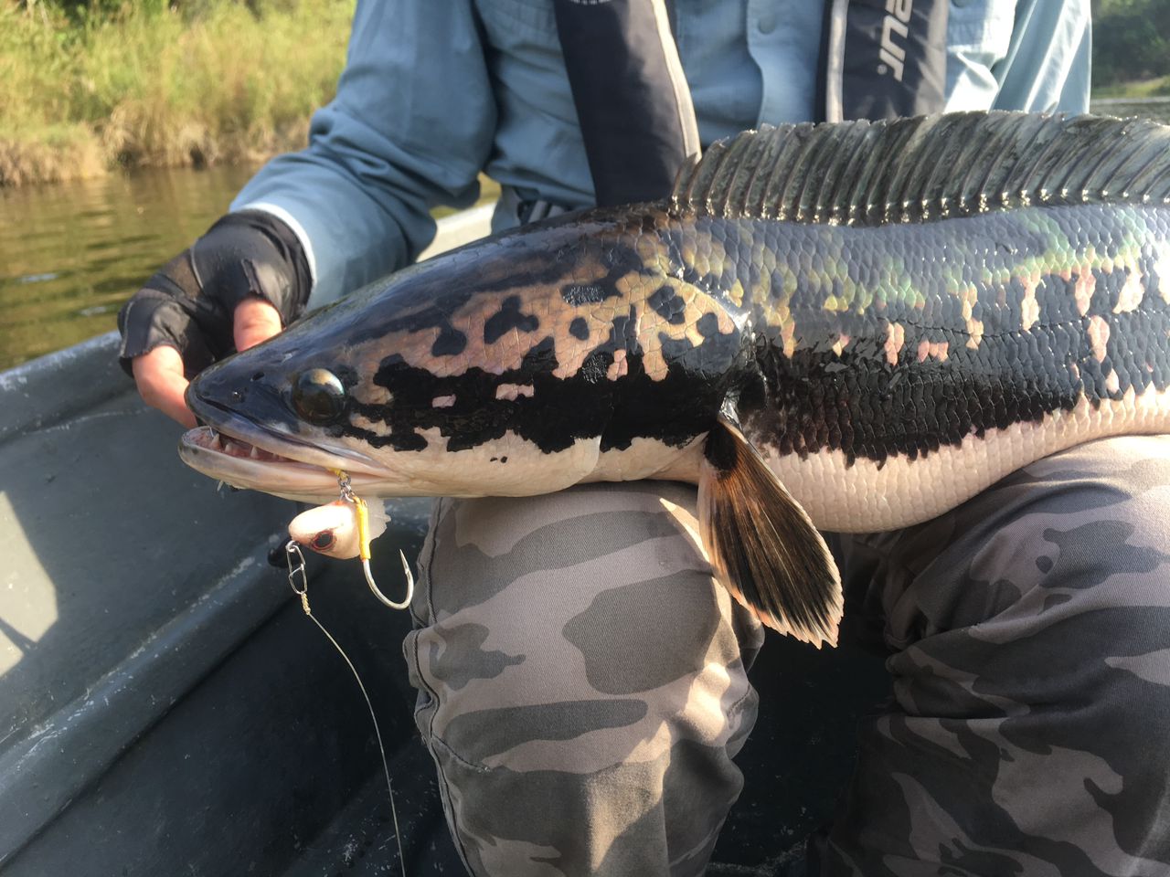 Scout T-tail 13cm (25.5g)