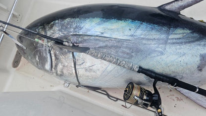 Standup Tuna 74/25