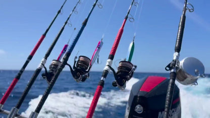 Standup Tuna 74/25