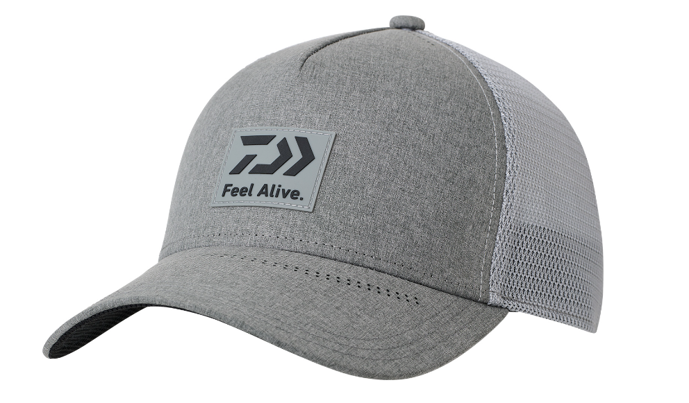 24 DC-9024 Box Logo Cap