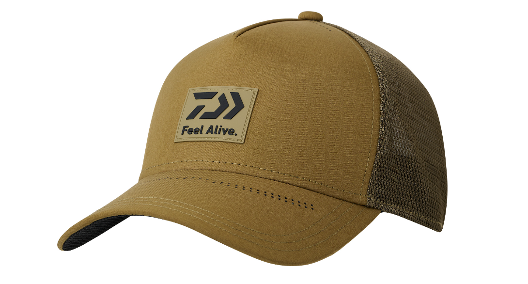 24 DC-9024 Box Logo Cap